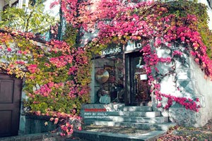 塞维利亚主场大胜，积分榜上节节攀升