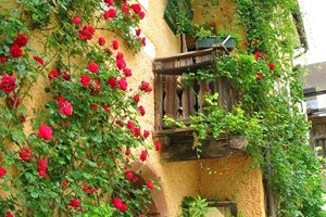 亚眠主场失利，保级压力再度加大