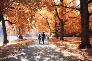 阿森纳客场不敌南安普顿，急需整顿